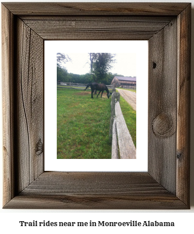 trail rides near me in Monroeville, Alabama